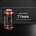 Uniross Alkaline Zinc Manganese D Battery (Pack of 10)